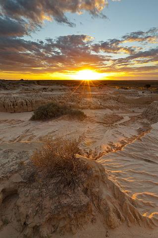 224 Mungo NP.jpg